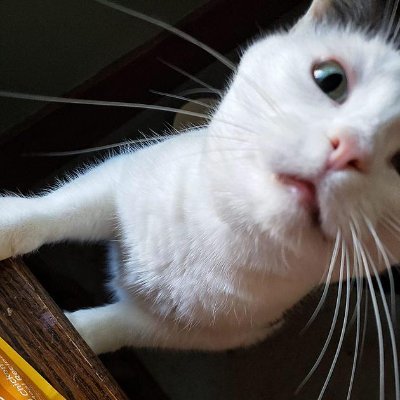 erger52's profile picture. 