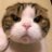 a_____EB