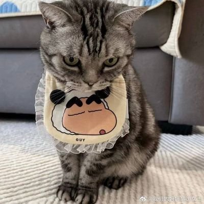 huili24382130's profile picture. 