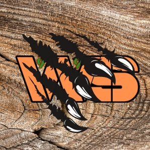 Streamer | RedM Mapper