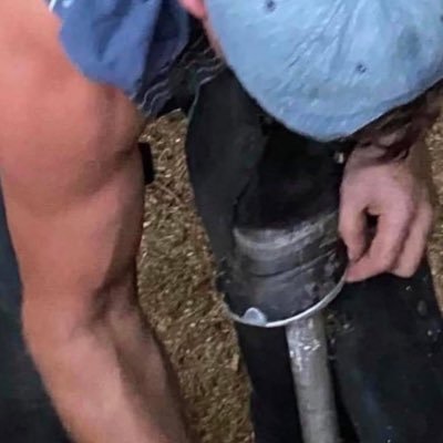 iamgoinglong's profile picture. professional farrier and owner of a world class sprint racehorse -