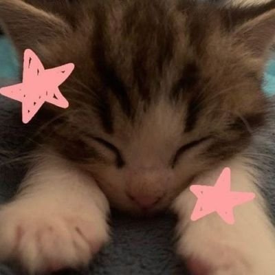 gigglixx81602's profile picture. love to create website || Web developer ||  
Serving memes with a side of nature. Wallpapers, laughs & vibes — all in one scroll.