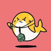 AkiiMiSui Jackson🦈/ on Sui (@akiimisuibee) 's Twitter Profile