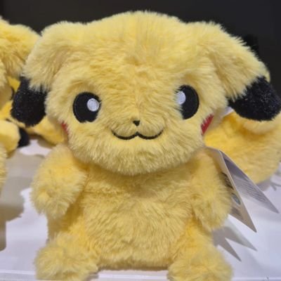 liberxtor2502's profile picture. rising final year law student