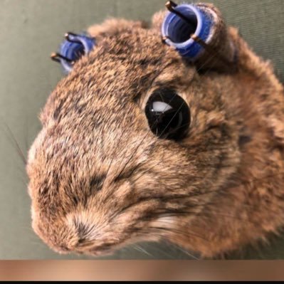 Bendotscott's profile picture. 