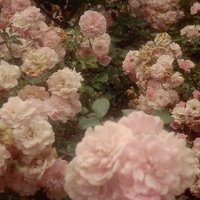 Lokinin xalası qızı (@iammrenaa) Twitter profile photo