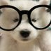 อาร์เต๋อ (@nerdnerd_kub) Twitter profile photo อาร์เต๋อ (@nerdnerd_kub) Twitter profile photo