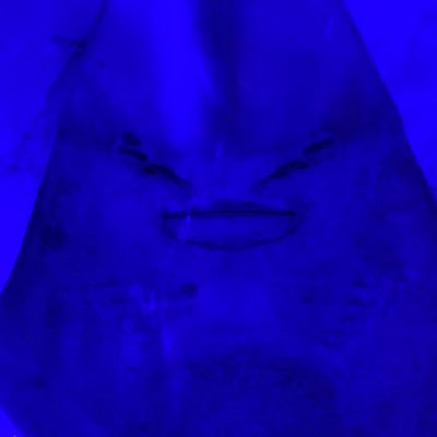 CliftHelena's profile picture. 