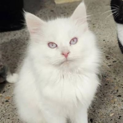 HeatherWil74193's profile picture. 