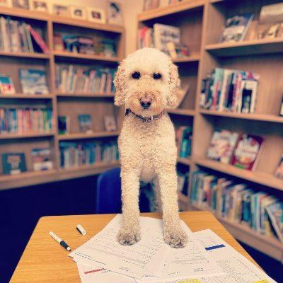 ShorehamReads's profile picture. @ShorehamAcademy Literacy Dept.