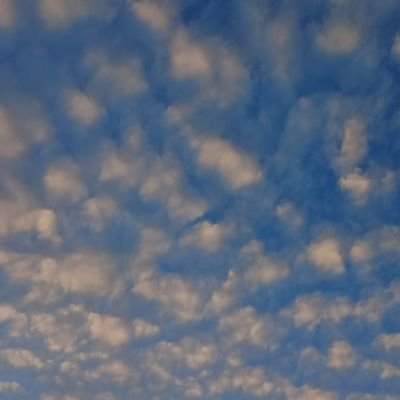 Itujugaboleh's profile picture. 🪐