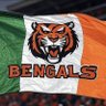 IrelandsWhodey's profile picture. Cincinnati Bengals fan since 88. #whodey 
            ☘️🏈🇮🇪🏈☘️