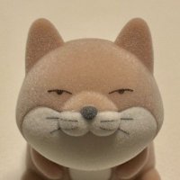 たろちゃん (@explorer14270) Twitter profile photo