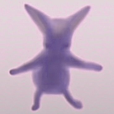 SisterYves's profile picture. aka liana 
♥️F1♥️KPOP (only EXO+RV)♥️SAW BAEKHYUN♥️
|✨🏎️YT22, LH44, LN4🏎️✨| 
In Snooki we trust
🧵🪡TWENTY🪡🧵