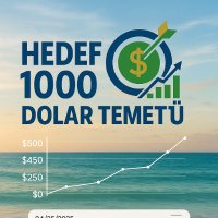 Hergün hisse alıyorum (@hedef1000dolar) Twitter profile photo