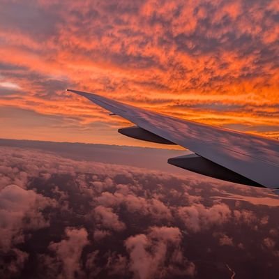 kujiramrt's profile picture. Xは基本見るだけです。使い方もよく分かっていません。SFC2025年から修行中です！(2025年3月までJGCダイヤでした)