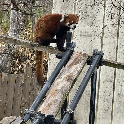 QSBaZcUZyq52287's profile picture. BL用のアカウントを作りました。身近に腐女子がいなくて、寂しいので、気軽に絡んでくださると嬉しいです😊