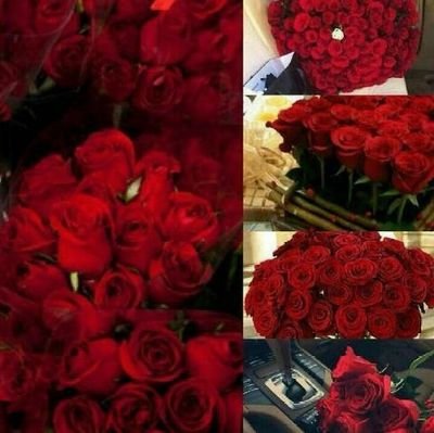 ۈرحمةُ ربي ۈسِعت كل شّيء .. ❊