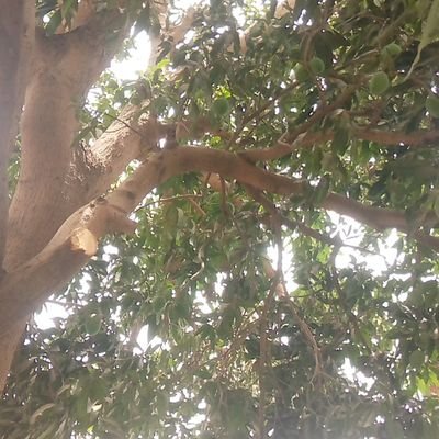 SarjoD97398's profile picture. 