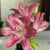 Rahma🍉 (@kromykk) Twitter profile photo