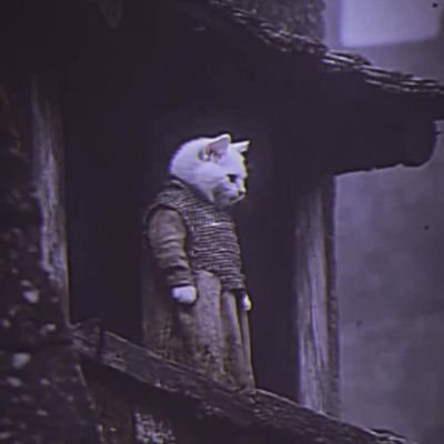 SahilAn28393449's profile picture. sleeping panda