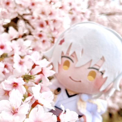 雪月さんのプロフィール画像