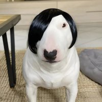 Gunda badmosh (@gauravs2638973) 's Twitter Profile
