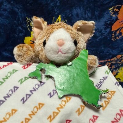 たぬき猫様 Amazon｜りぶはあと 抱き枕 プレミアムねむねむアニマルズ