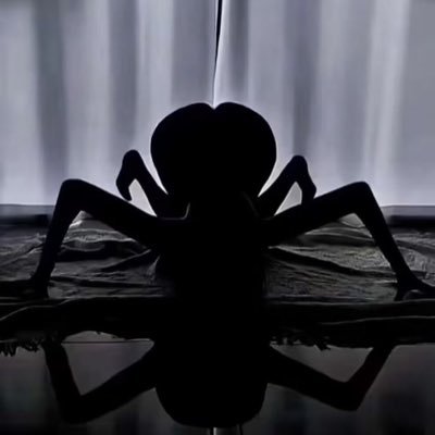 aren875's profile picture. 一切都是拿性。