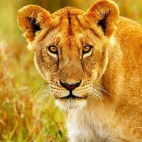 Mido Salb bnoty (@bnotymido16363) Twitter profile photo