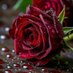 د/أحمد خالد الحيدري (@gwerk2025) Twitter profile photo د/أحمد خالد الحيدري (@gwerk2025) Twitter profile photo