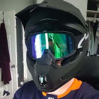 Rex da Dive Pup (@divedudenorth) 's Twitter Profile