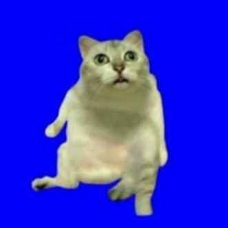 WWASISAURUSU's profile picture. ナニ見てんスカ