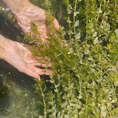 String1350005's profile picture. 