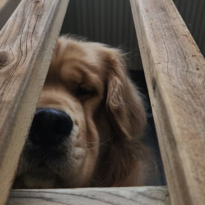 lake_whales's profile picture. Trying to learn something new every day