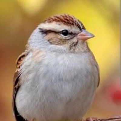 NotSickular's profile picture. Im here to learn.  Stay humble and curious #javadevelopment #devops #growthmindset