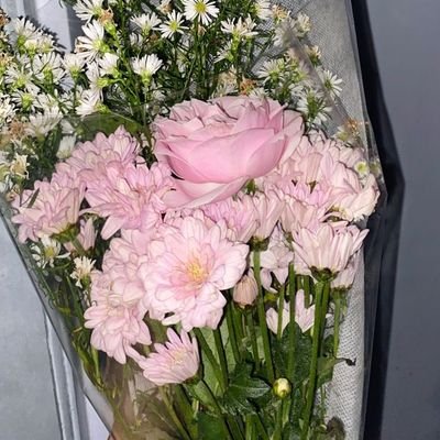 Noz4Reliy's profile picture. Damn