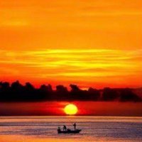 Ada Alagoz (@adaalagoz6) 's Twitter Profile Photo