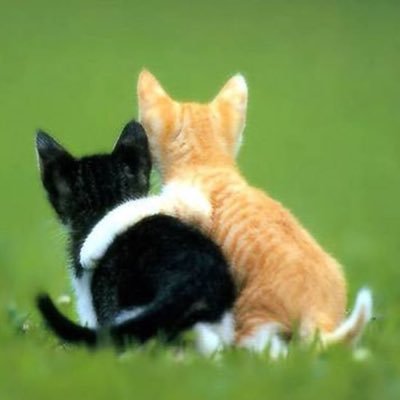 possoteabracar's profile picture. se eu te segui é pq vc precisa de um abraco