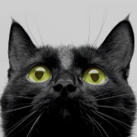 M (@brionnewinefine) 's Twitter Profile