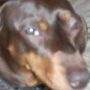 ken exline - @knexline - Twitter