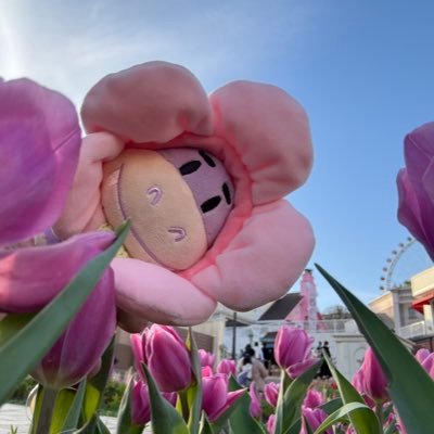 lasjtsb_d's profile picture. 