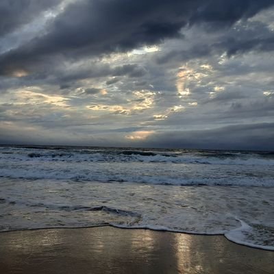 ft029t's profile picture. ScienceTokyo科学大25B生命 必然的に生命理工学系志望