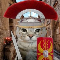 Zdzisław Zaskroniec (@zdzislawzaskron) 's Twitter Profile