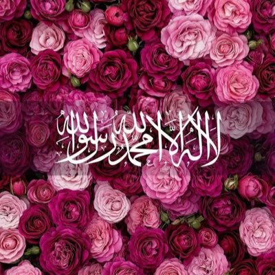 RanaAlShae12508's profile picture. 