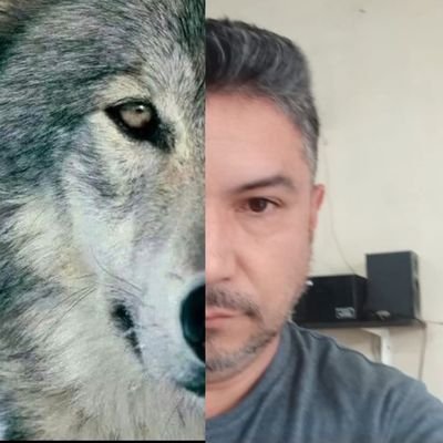 RiverosVenegas's profile picture. No soy poeta 
Menos un escritor 
Solo lo intento cada vez
Aunque tú 
Jamás lo leas 
Aun te escribo  
Aun lo hago