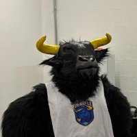 Touro loko (@touroloko_ofc) 's Twitter Profile