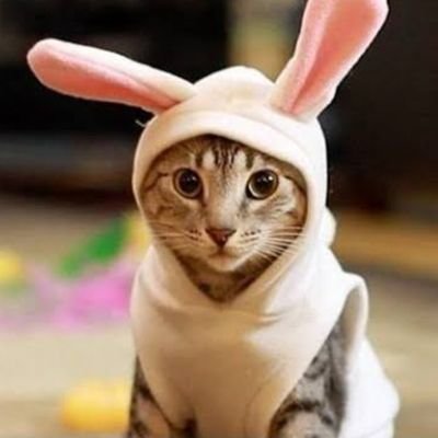 Azdmambira's profile picture. Vou dar um jeito.