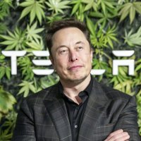 REAL ELON (@elonspace454) 's Twitter Profile