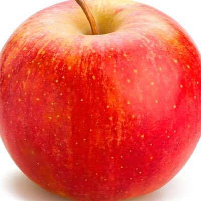 huaxunzz's profile picture. 夏以昼口嗨站（强拒同梦补药贴脸）/花巡碎碎念自嗨站/背景是我家猫猫🐈路过可以摸一下😋🫳🫳